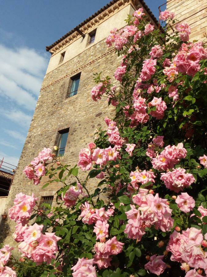 Agriturismo Ca' Preda Villa San Giorgio Piacentino Exteriör bild